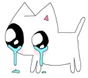 cat tears