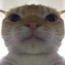 Stare