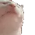 CatJam