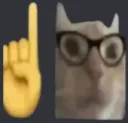 Nerd Cat