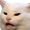Mad Cat