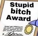 Stupid bitch award