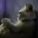 My Honest Reflexion bro