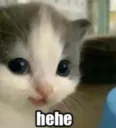 hehe