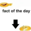 fact of the day