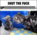 SHUT THE FUCK UP!!!!!!!!!!!