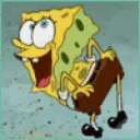 SF_spongeass