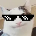 ;coolbeluga
