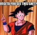 VegetaYouSeeThis