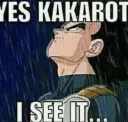 YesKakarot