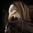 super fucking cool eagle smoki