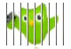 duolingo jail