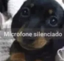 microfone silenciado