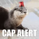 cap alert