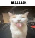 blahhhh .gg/taunt