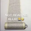 not allat .gg/taunt