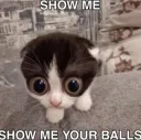 show-balls