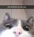 Ur Super Cute.
