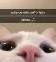 Unless...?