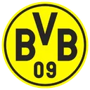 x_teamBvb