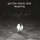 got the whole chat laughing