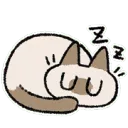gSleepyCat