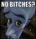no bitches