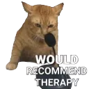 TherapyCat