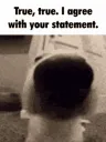 true true i agree
