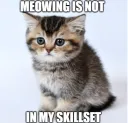 meowing is not in my skillset