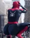 SpiderButt
