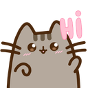 Pusheen Hi