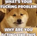 whatIsYourProblem