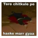 tere_chitkule_pe_mar_gaya