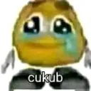 cukub