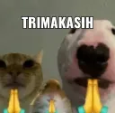 terimakasih