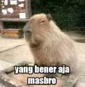 yg bener aja masbro