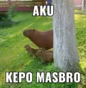 aku kepo masbro
