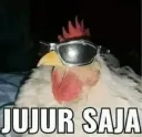 jujur saja