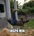 ingpo min