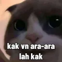 kak vn kak