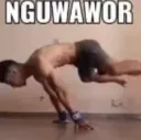 ngawur