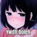 ywdh boleh