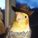howdy