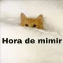 Gato Mimir
