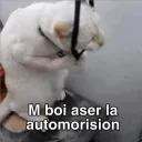 Gato Automorision