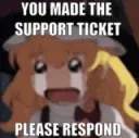 support ticket pain