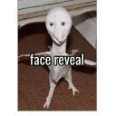 face reveal 