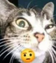 bro?