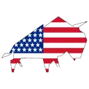 US Bull